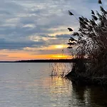 Zuhause Am - Eleganz Im Altbau * Bitterfeld-Wolfen