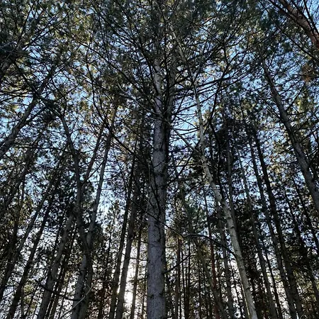 Appartement Zuhause Am - Eleganz Im Altbau