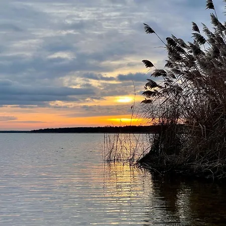 Zuhause Am - Eleganz Im Altbau * Bitterfeld-Wolfen