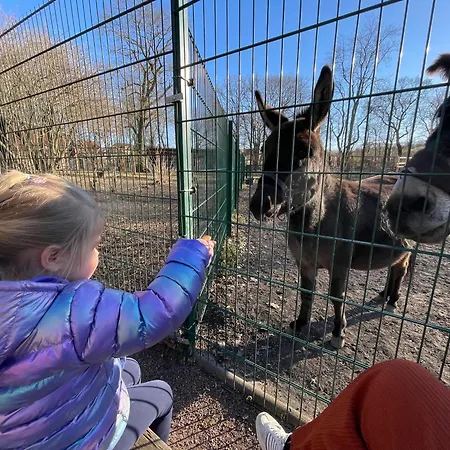Zuhause Am - Eleganz Im Altbau * Bitterfeld-Wolfen