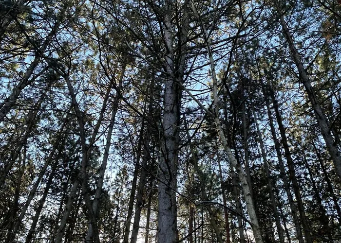 Lejlighed Zuhause Am - Eleganz Im Altbau