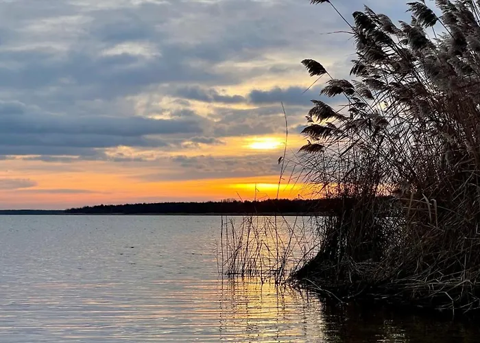 Zuhause Am - Eleganz Im Altbau * Bitterfeld-Wolfen