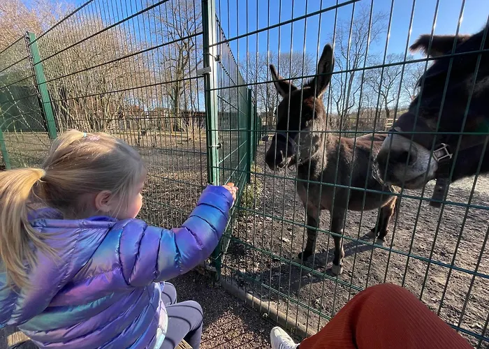 Zuhause Am - Eleganz Im Altbau * Bitterfeld-Wolfen